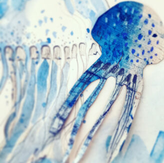 jellyfish